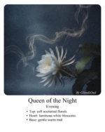 ⁦بريق ملكة الليل⁩ - الصورة ⁦2⁩