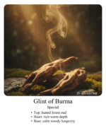 ⁦بريق بورما⁩ - الصورة ⁦2⁩